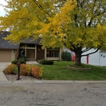 Fall cleam up