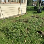 Raised Bed Area