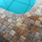 Color: Island Palm , T-Pattern