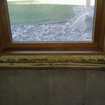 Foam windows