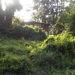 Clear property