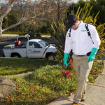 Yard Treatment