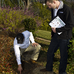 Property Inspection