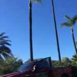 Company Truck