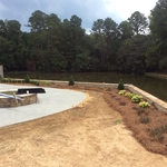 Landscape plants