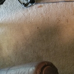 Carpet before tile