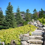 Trees & Limestone Pathway