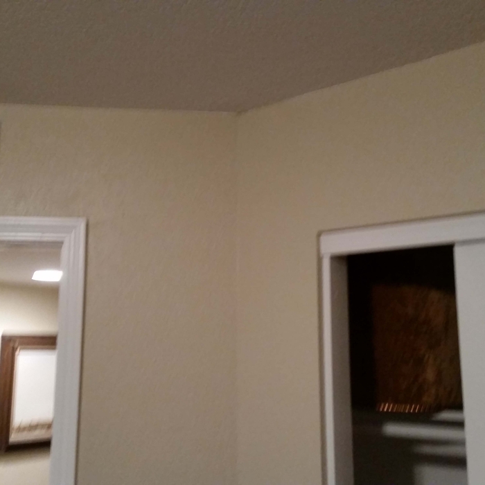The Guest Bedroom