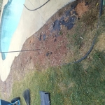 Mulch