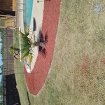 Mulch