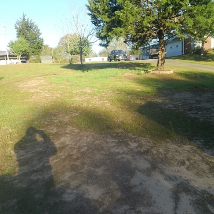 Sod job Ozark