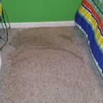 Carpet Cleaning