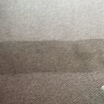 Carpet Cleaning