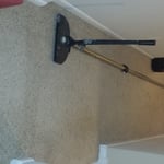 Carpet Cleaning