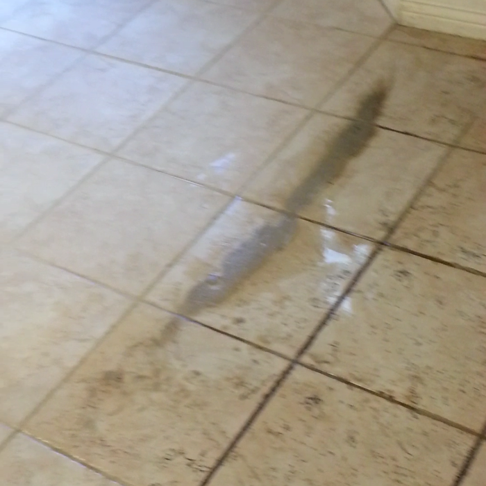 Tile Cleaning