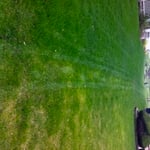 Tree & Turf vs competition