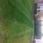 Our lawns look the best!