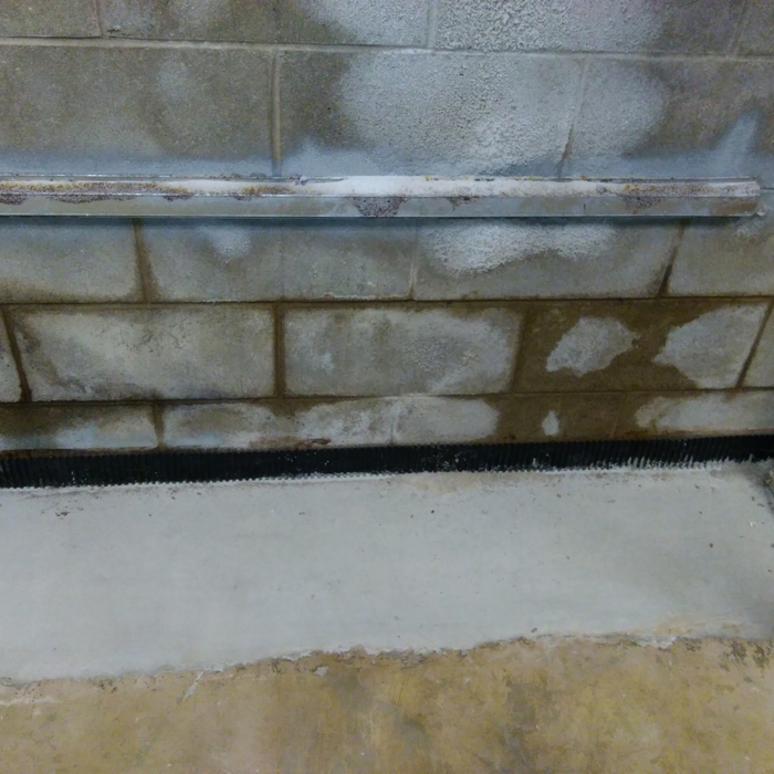 Wet Basement Wall