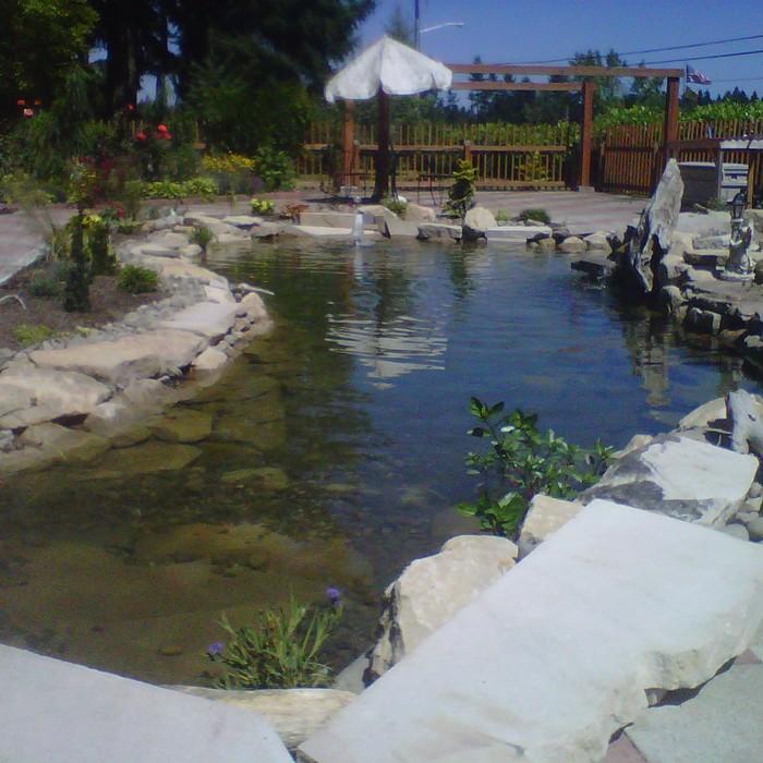 After photo, new coy pond.