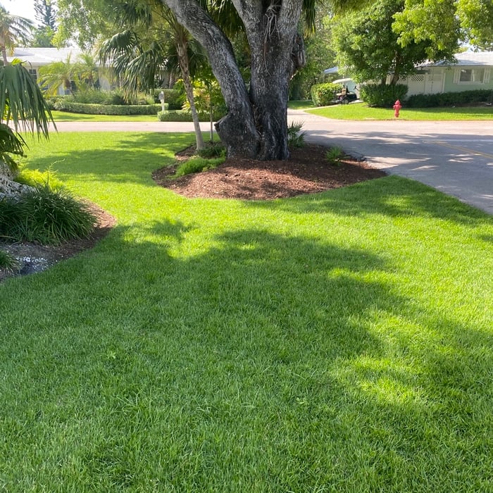 Irrigation
