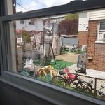 Window Cleaning