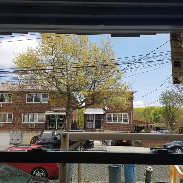 Window Cleaning