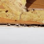 Plaster ceiling