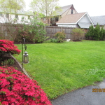 Spring Clean Up