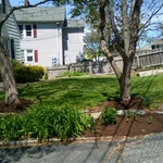 Spring Clean Up