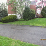 Spring Clean Up