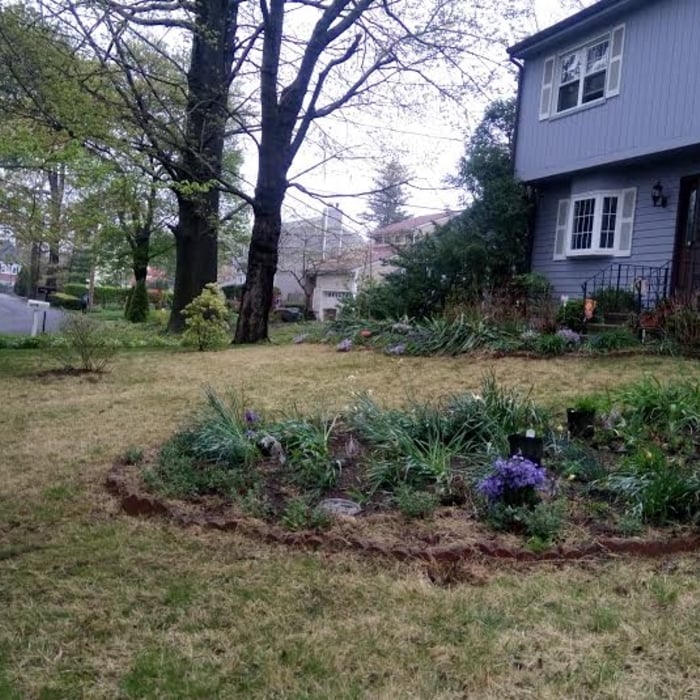 Spring Clean Up