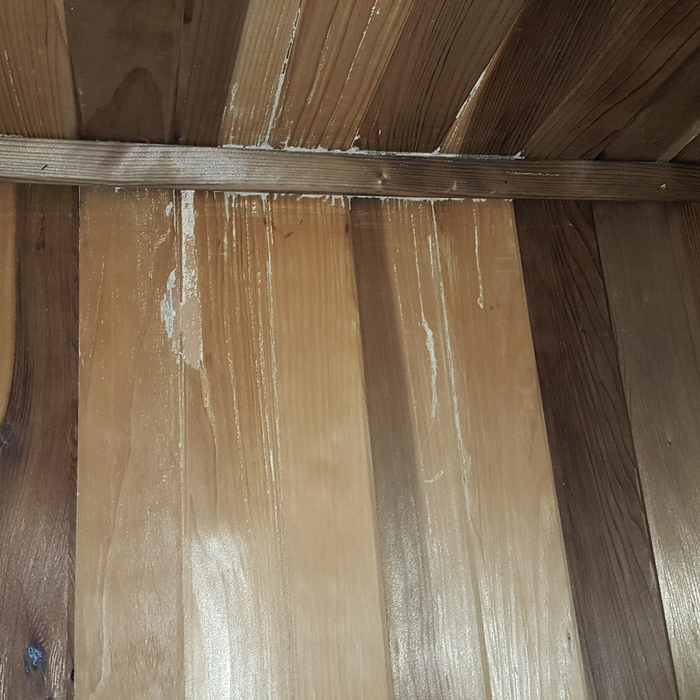 SUBTERRANEAN TERMITE MUD TUBES
