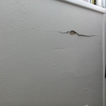 Wall repair