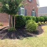Bed Brick Border
