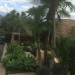 Laguna House