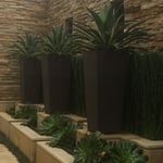 Laguna House