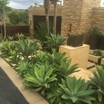 Laguna House
