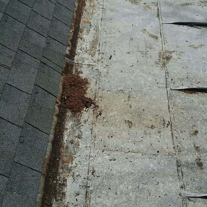 Flat Metal Roof Coating