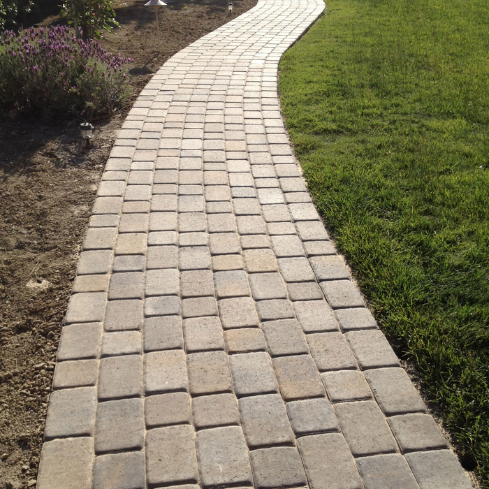 paver
