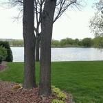 Yard 2