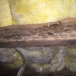 Crawlspace Encapsulation