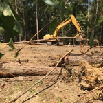 Excavation/Land Clearing