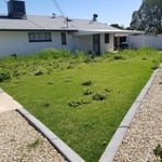 Before weeding and Grass mowing.