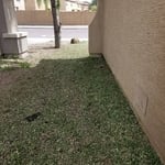 Sprayed/cleared and treated