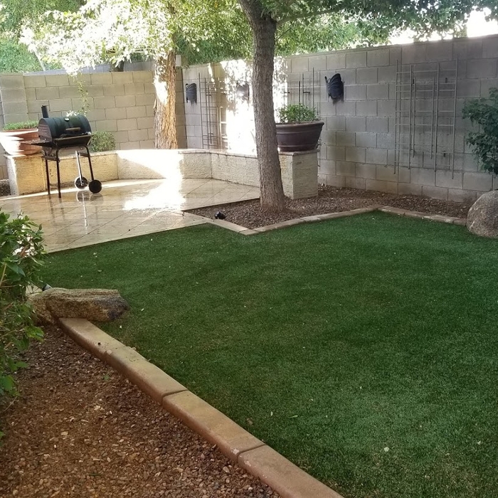 Back Yard After clean up