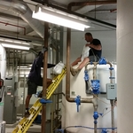 The rebed process