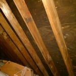 Attic Mold Before