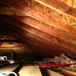Attic Mold After