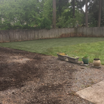 Extend back yard