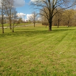 Rogersville